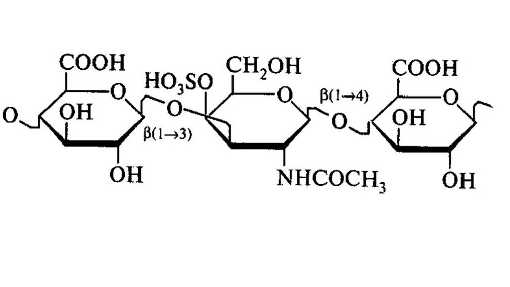 Condroitina in Osteflex